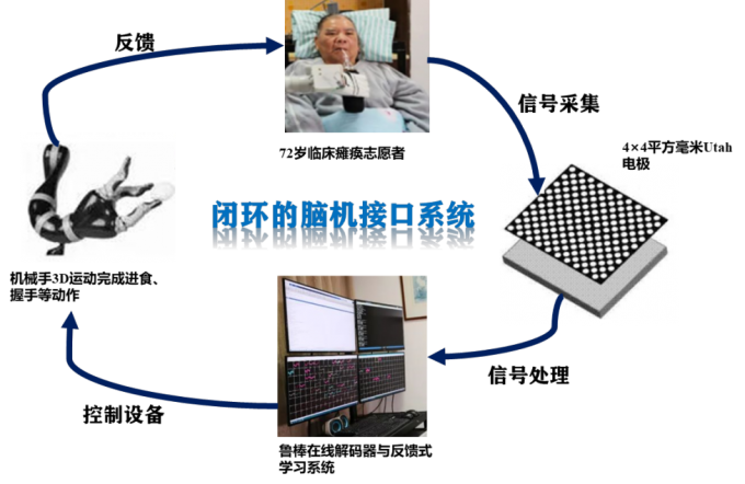 我校智能科學與技術(shù)系開展智能腦機特色實踐 助力學生“心想事成”