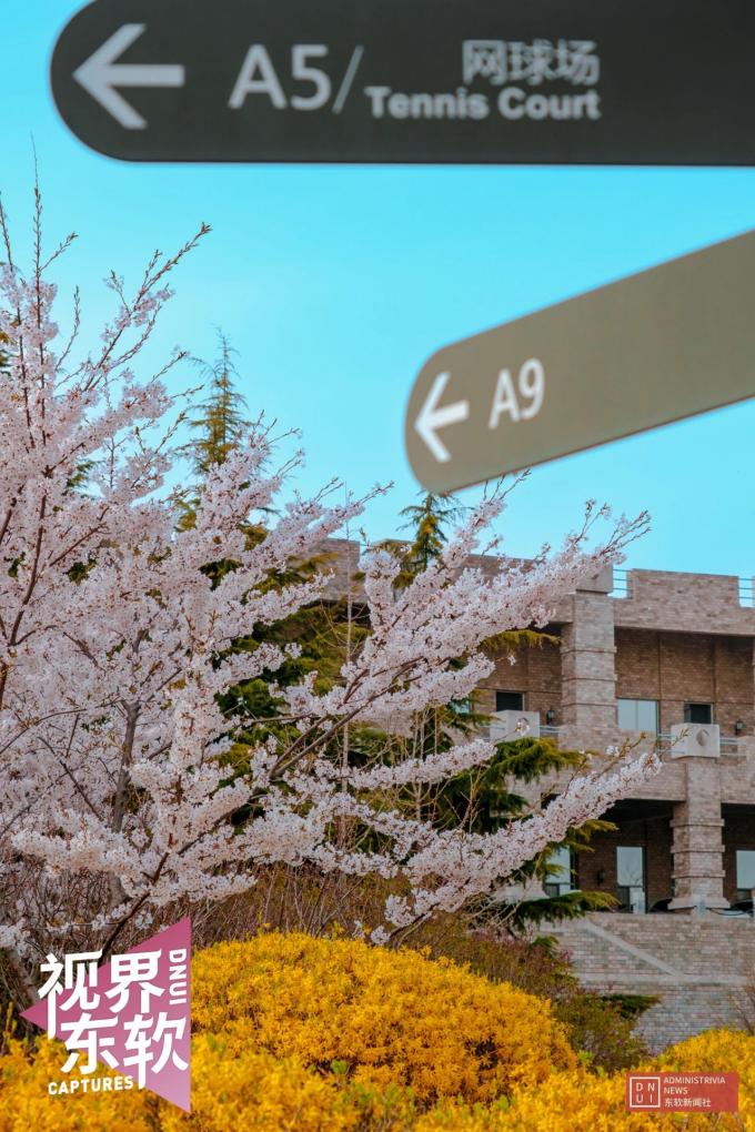 東軟新聞社 岳嘉偉拍攝